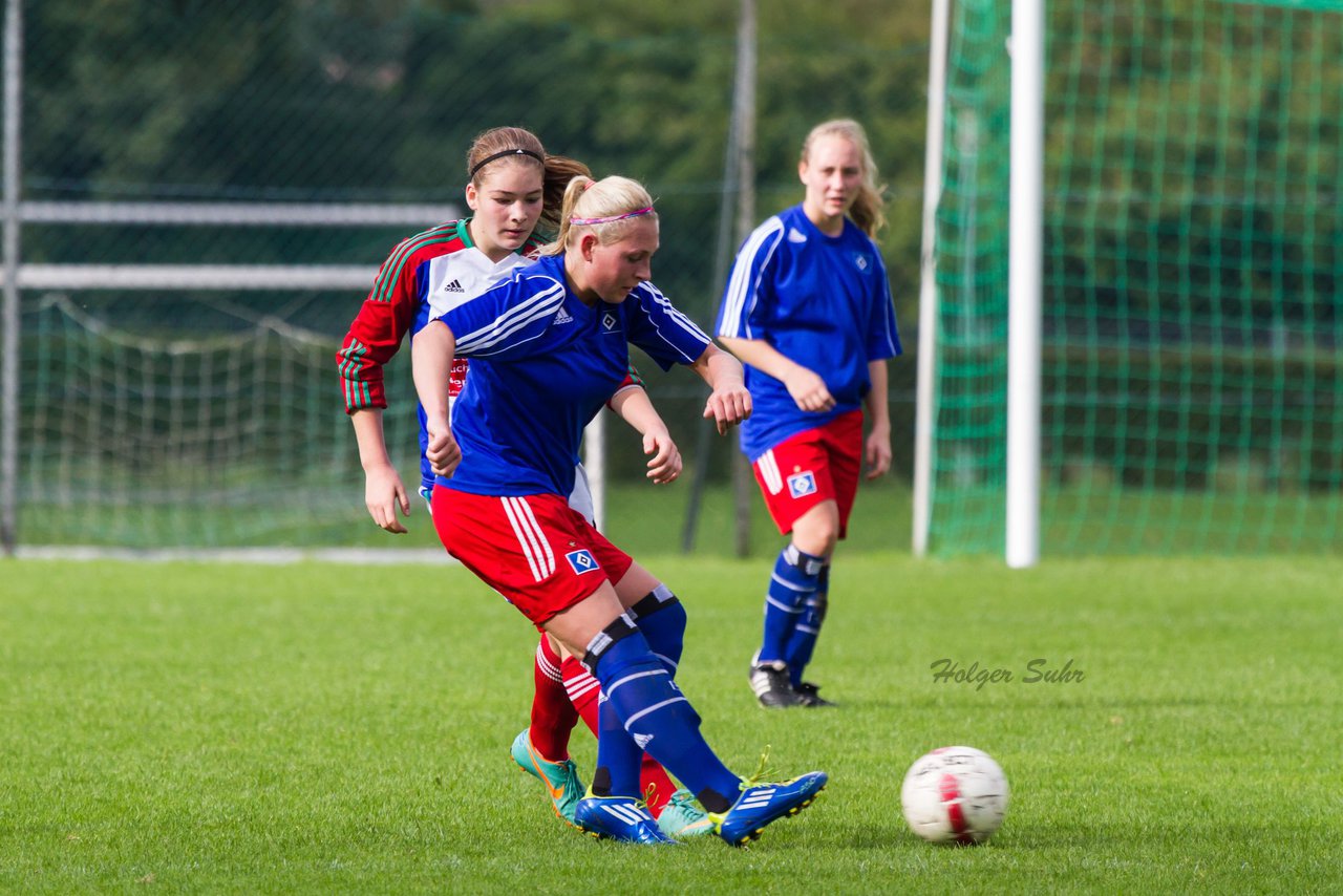 Bild 208 - Frauen SV Henstedt Ulzburg - Hamburger SV : Ergebnis: 2:2